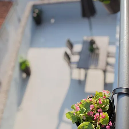 Apartament Eva Gradac (Split-Dalmatia)